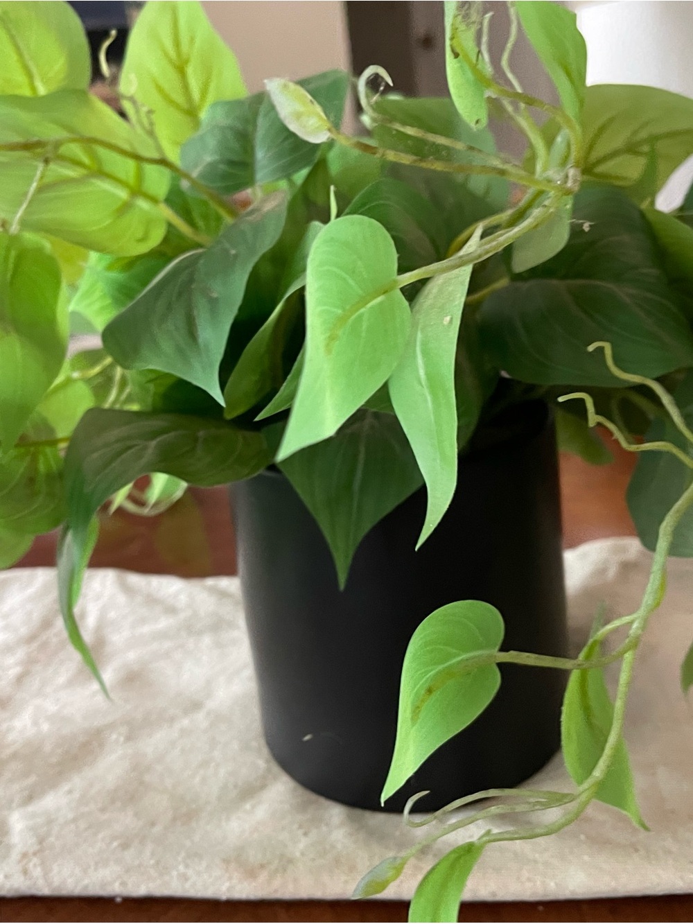 Lifelike Green Faux Plant in Matte Black Planter - Picture 2 of 6